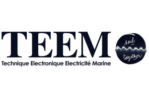 Logo TEEMST   bleu
